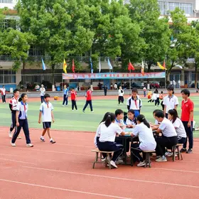 modelo-de-planejamento-para-participacao-de-escolas-em-olimpiadas